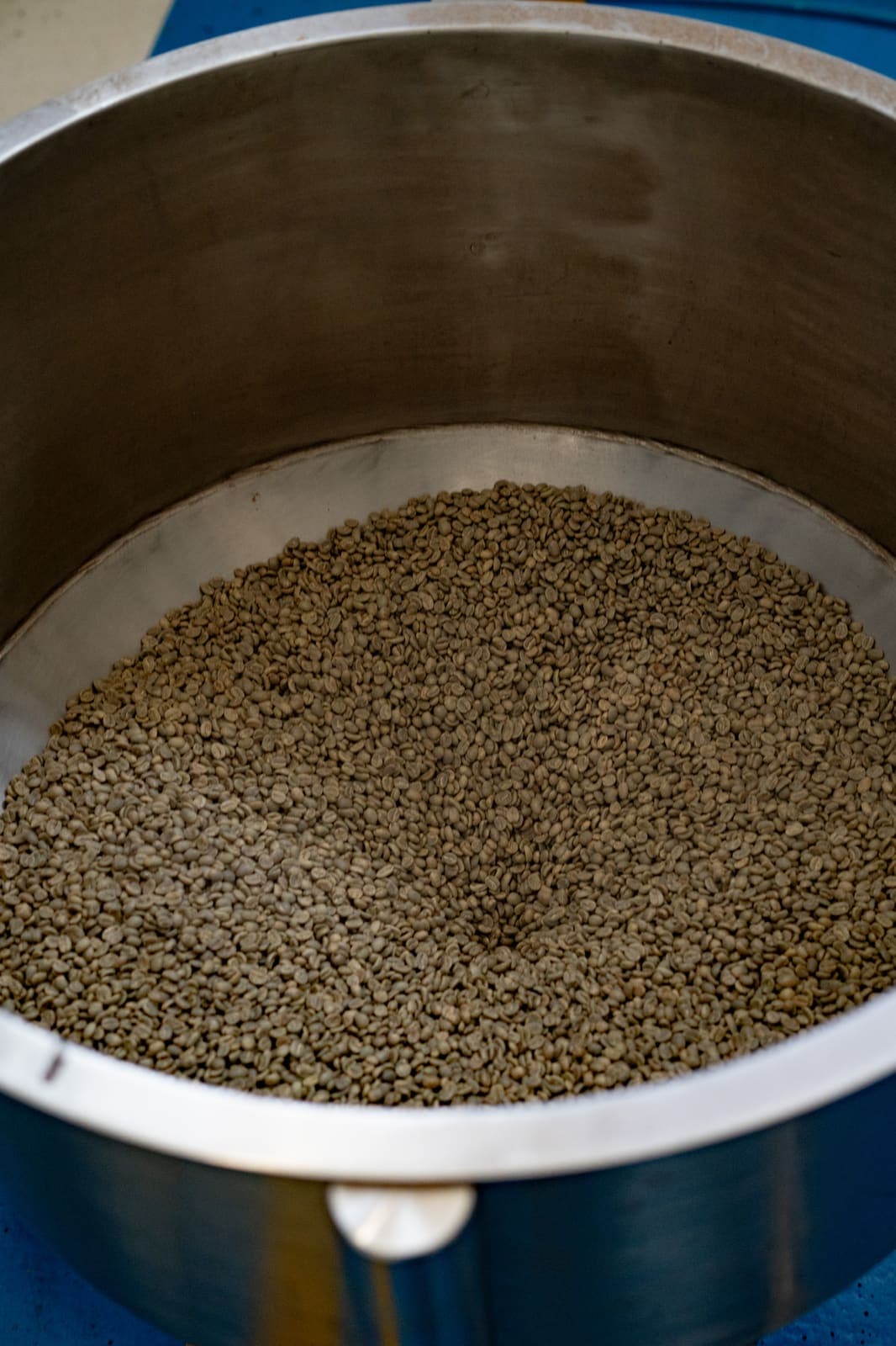 Café verde colombiano en proceso
